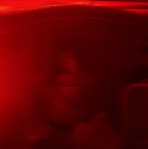 Meet your Posher, Princess